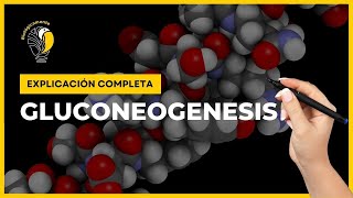 👉 Todo sobre la GLUCONEOGENESIS Paso a paso [upl. by Nine]