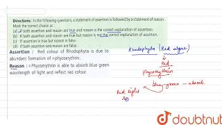 Assertion Red colour of rhodophyta is due to abundant formation of rphycoerythrin [upl. by Aliehs15]