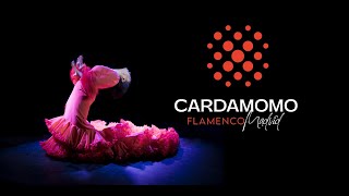 Flamenco Madrid • Tablao Cardamomo [upl. by Audwen413]