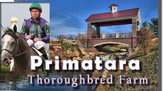 Primatara Thoroughbred Farm Springfield MO Gets Pensmore Stile Home [upl. by Essam]