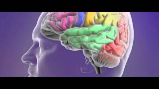 Classification of epileptic seizures [upl. by Ahselaf]