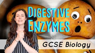 DIGESTIVE ENZYMES GCSE Biology 91  Combined Sci Revision amp Qs [upl. by Los]