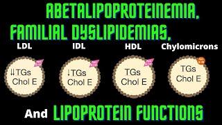 USMLE Step 1 Lesson  75  Lipoprotein Functions Abetalipoproteinemia and Familial Dyslipidemias [upl. by Nnylidnarb]