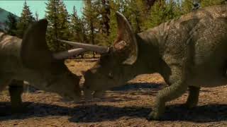 TRex vs Triceratops  The Power of TRexs Jaws [upl. by Hazard]