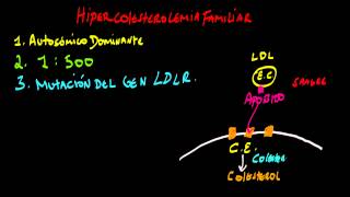 Hipercolesterolemia Familiar [upl. by Mackenzie471]
