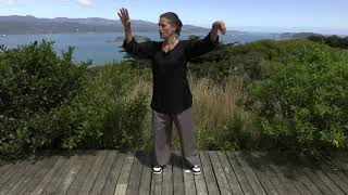 UPDATED  Tai Chi 5 Min a Day Mod 02  Easy for Beginners  Cloud Hands and Single Whip  New Music [upl. by Aicemak]