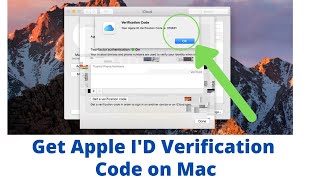 where do i enter apple id verification code on mac [upl. by Danczyk618]