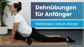 Dehnübungen für Anfänger ➡️ 15 Minuten Stretching von Kopf bis Fuß [upl. by Llenrod]