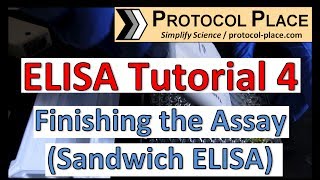 ELISA Tutorial 4 Finishing the Assay Sandwich ELISA [upl. by Gausman]