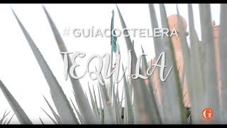 ¿Qué es el tequila [upl. by Murielle]