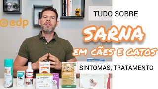 62  TIPOS DE SARNA EM CACHORRO E GATO  SINTOMAS E TRATAMENTO [upl. by Hovey140]