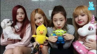 ENG SUB BLACKPINK VLIVE ROSÉ JISOO LISA AND JENNIE [upl. by Adnala]