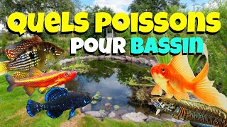 Quels POISSONS pour BASSIN [upl. by Nirtiac]