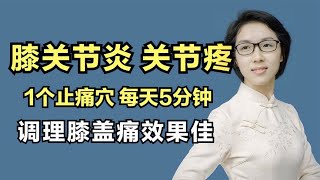 膝关节炎关节痛、蹲不下，医生教你止痛穴，调理膝盖痛效果佳 [upl. by Ahsienel]