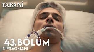 Yabani 43Bölüm 1Fragmanı  Yaman Ali Ölüyo [upl. by Mathilde]