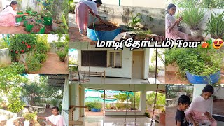 🏕🌴மொட்ட மாடியில் ஒரு கிராமத்து மண் வாசனை🥰💚🌴🏕 Madithottam tourInnovative home tourtourgarden [upl. by Fabiolas]