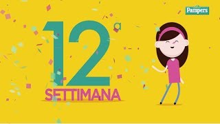 12° settimana di gravidanza [upl. by Aerdnahs]