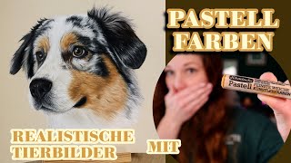 So zeichne ich realistische Tierbilder mit Pastellkreiden in Kombination mit Buntstiften Tutorial [upl. by Haff]