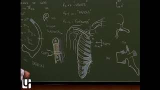 Thorax 1  Anatomie de la cage thoracique Ribthoracic cage [upl. by Aranat]