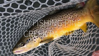 Fly Fishing Pine Creek PA 2019 [upl. by Bekaj]