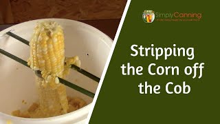 Cutting the corn off the cob for canning and dehydrating [upl. by Collis681]