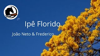 Ipê Florido  João Neto e Frederico modao xonado [upl. by Mazman]