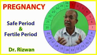 Pregnancy Fertile and Safe Period In Urdu Hindi By Dr Rizwan [upl. by Tearle582]