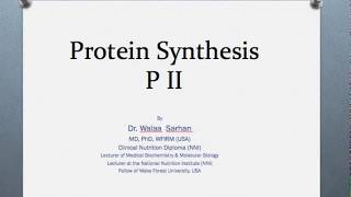 Molecular Biology Session 12 Translation P2 [upl. by Ahtnahc200]