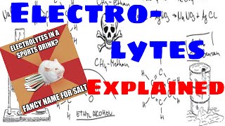 Electrolytes Explained [upl. by Thamos848]