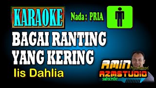 BAGAI RANTING YANG KERING Iis Dahlia KARAOKE Nada PRIA [upl. by Nnaeilsel]