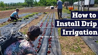 How to Install Drip Irrigation [upl. by Arait]