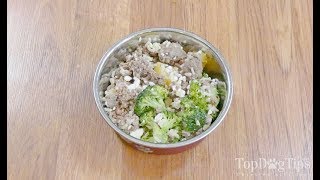 Homemade Dog Food for Pancreatitis Recipe Simple 5 Ingredients [upl. by Nolrak]