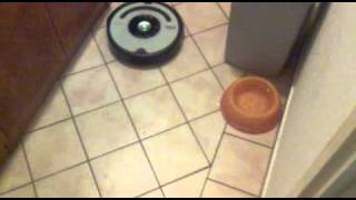 iRobot Roomba 564 Pet Series [upl. by Morlee377]