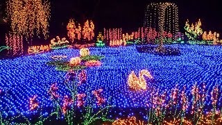 The Garden dLights Event at the Bellevue Botanical Garden [upl. by Enois222]