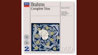 Brahms Piano Trio No 3 in C minor Op 101 2 Presto non assai [upl. by Yim]