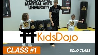 Martial Arts for Kids Beginner Class 1  Footwork amp Punches Solo Class [upl. by Nilla796]