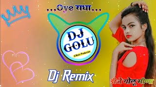 Meenawati Dj Song  Dj Remix Song 2023  Dj Golu Meena  Dj Remix Song Meenawati [upl. by Aicella223]