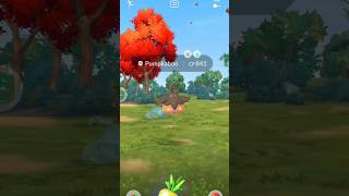 See how I Catch a Pumpkaboo in Pokemon go pokemon pokemongo [upl. by Dlareg]