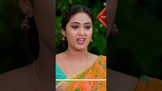 Maa inti devatha Shorts  Watch full EP Sun NXT  Gemini TV [upl. by Nyrmac]