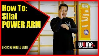 How To Train Devastating Fore Arm Power Maul Mornie SILAT [upl. by Philipa]