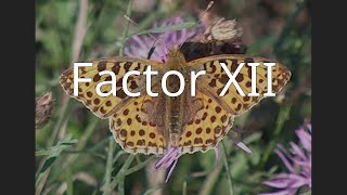 Factor XII [upl. by Siron]