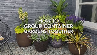 How to Group Container Gardens Together  Basics  Better Homes amp Gardens [upl. by Nyledaj]