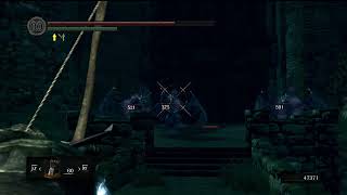 Dark Souls Remastered  Blue Drakes strategy with poison arrows Valley of Drakes [upl. by Nrobyalc]