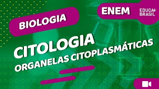 BIOLOGIA – Citologia – Organelas Citoplasmáticas ENEM [upl. by Sternick]