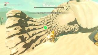 Zelda Breath of the Wild  Molduga Quick Kill [upl. by Atorod]