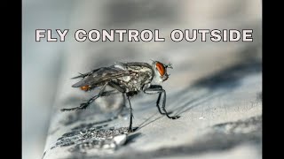 How to Get Rid of House Flies 4 Simple Steps [upl. by Dlarej879]