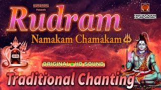 Rudram Chamakam  Original  Traditional Vedic Chants [upl. by Normac]