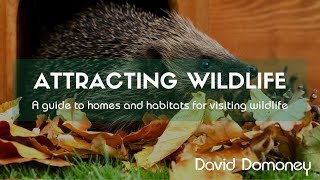 How to attract beneficial wildlife by adding homes and habitats to your garden [upl. by Rinee275]