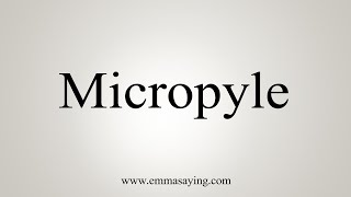 How To Say Micropyle [upl. by Eramat]