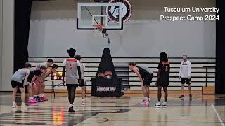 Tusculum University Prospect Camp 2024 Clips [upl. by Grounds]